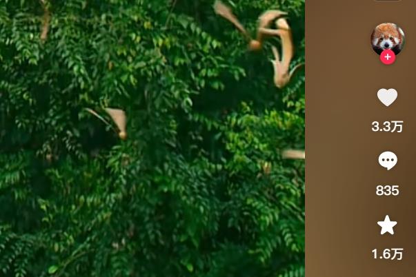 快手刷粉平台真实性实测，ks刷粉刷赞小心上当受骗