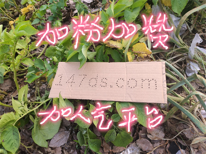 快手免费增粉平台:24小时自助下单,快速提升粉丝量,性价比之选!