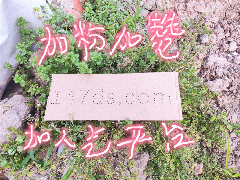 《dy赞平台:快手粉丝增涨服务,24小时快速下单,价格实惠》