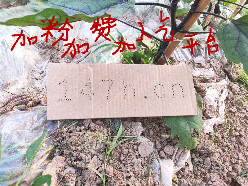 快手快速增粉平台,一元即可自助下单,dy热门资源24小时特惠推荐