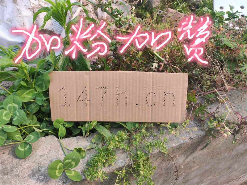 快手粉丝自助下单平台，秒速到账保障人气服务，HCRM问答揭秘