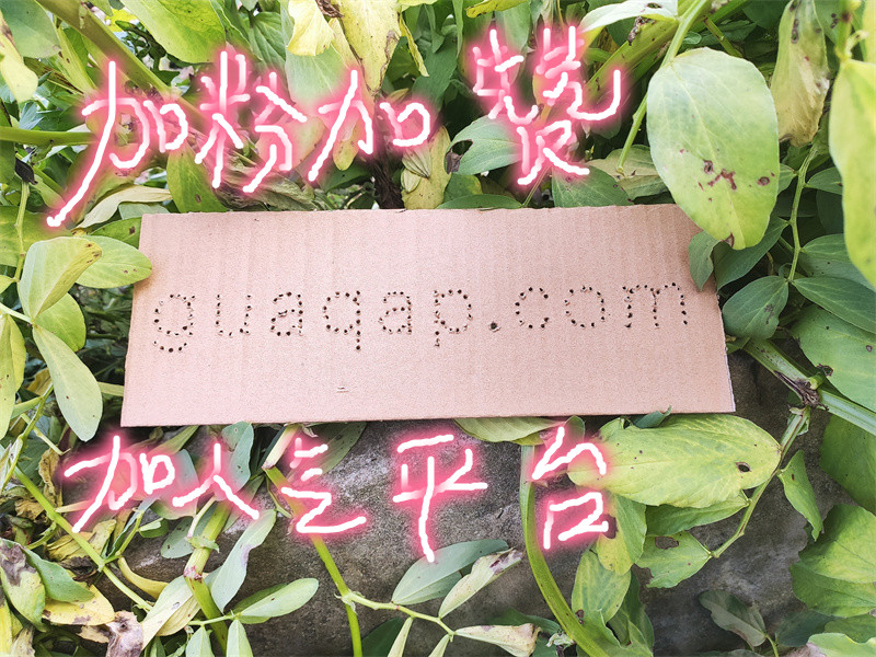 快手粉丝秒刷服务-抖音直播人气快速提升平台优惠下单指南