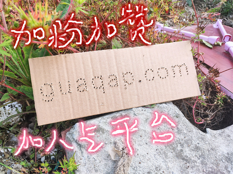 guaqap副本2 - 副本.jpg guaqap副本2 - 副本.jpg