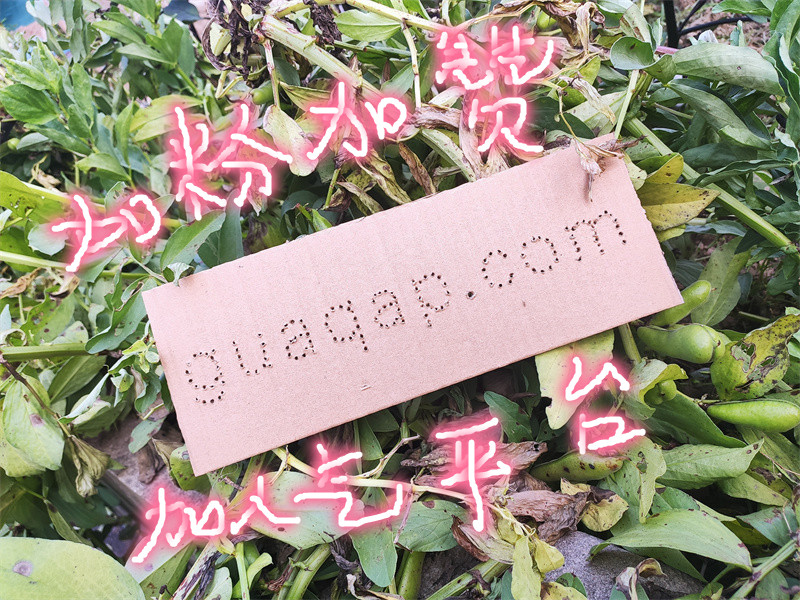 guaqap副本3 - 副本.jpg guaqap副本3 - 副本.jpg