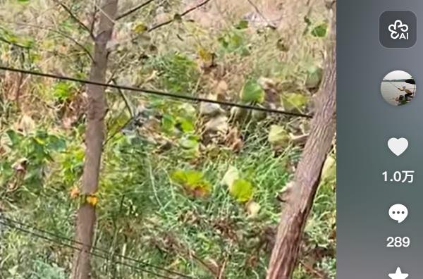 抓住用户注意力:解锁高效抖音获客引流技巧!_自助下单平台