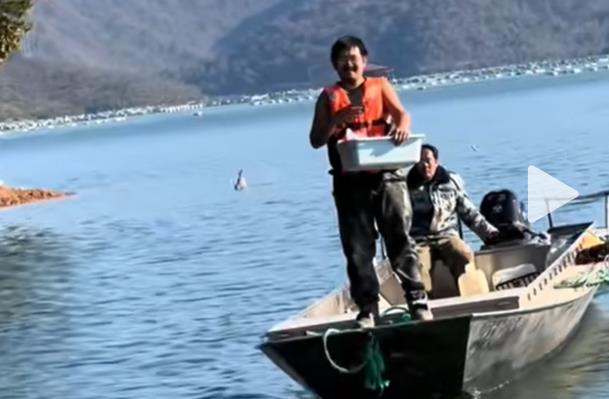 千川粉丝与抖音粉丝怎么精准区分,抖音真人粉丝点赞24小时自助下单-抖音千川有效粉丝活粉业务