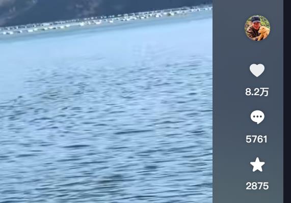 抖音自助刷粉平台 - 千川粉丝自助下单-永不掉粉