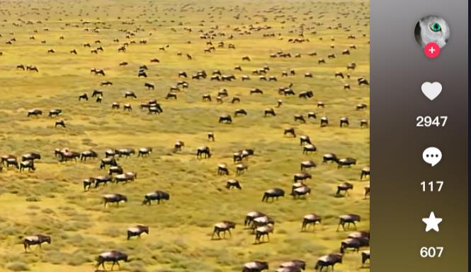 科学小实验账号运营-创作与变现全析