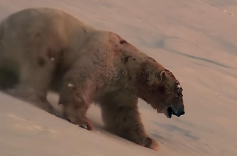 抖音直播间挂铁怎么操作?来这里挂人气一场仅需几块钱