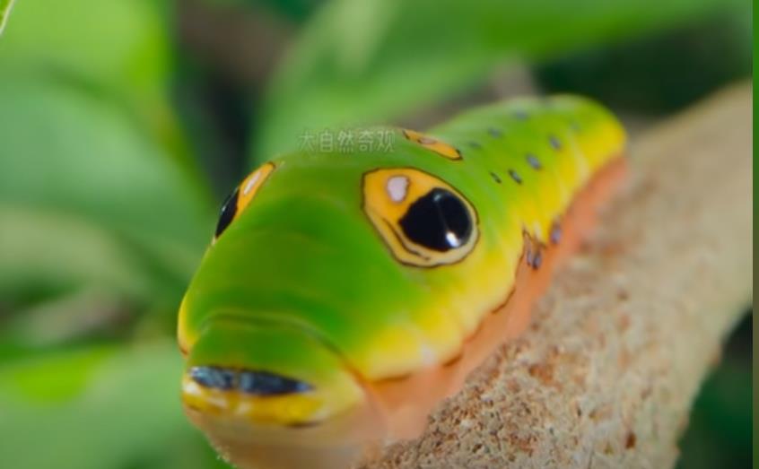 新型机票退改签诈骗席卷全国!四个月数万人中招,财产瞬间蒸发!