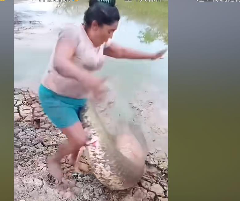 冒充10086移动客服,母亲和男朋友被骗了85000