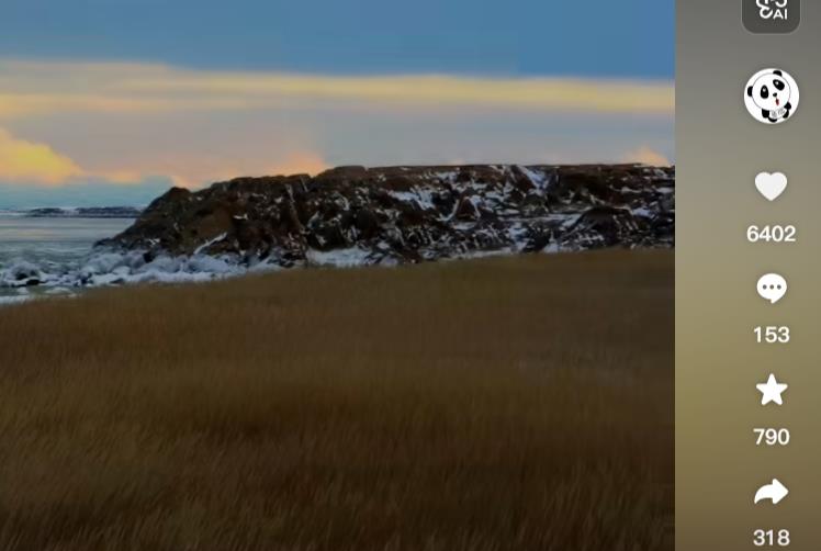 “合法杀猪盘”惊现婚恋市场:女子为“赠房赠车”背上数百万债务