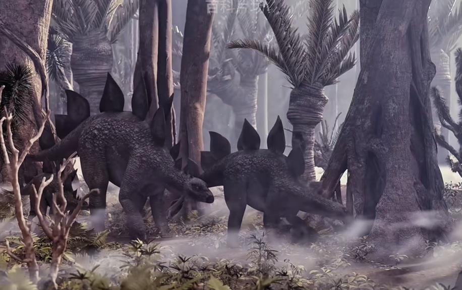 小红书:粉丝自助购物新宠-粉赞自助下单平台