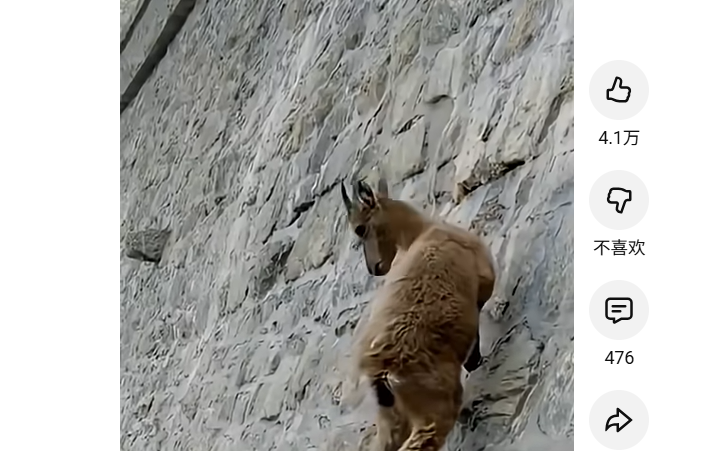 带货直播间没人来怎么办-利用挂铁技术吸引新人留住老人