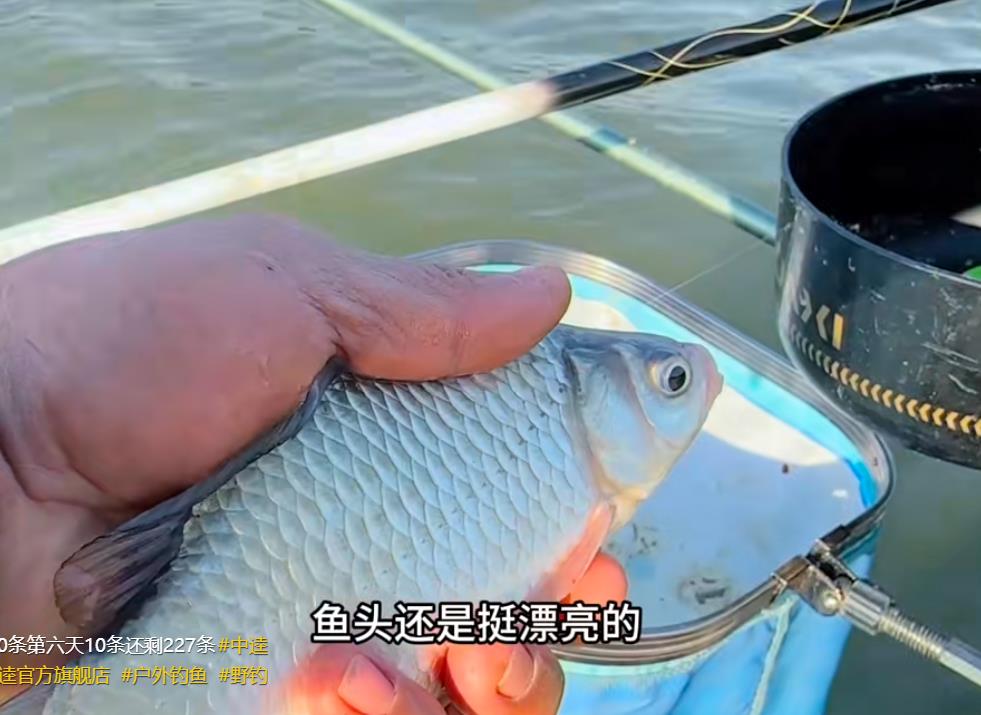 微信视频号涨粉丝刷播放点赞评论量自助代刷社区-10万人在线互助