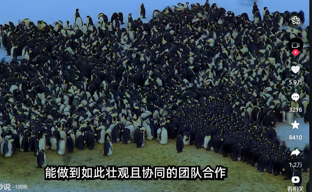 快手刷粉-快手刷双击-快手刷浏览量自助下单平台推荐