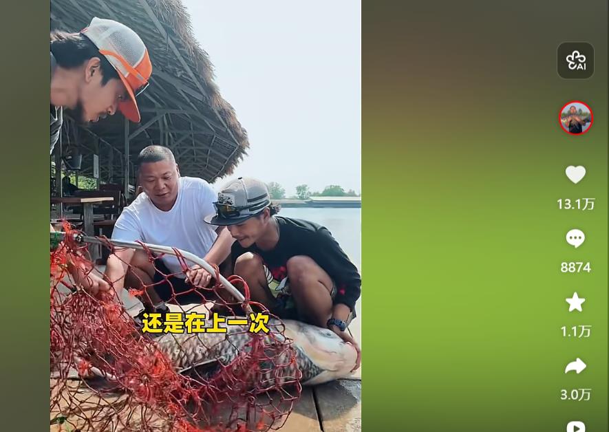 短视频涨粉神器-抖音刷粉刷赞刷播放免费软件推荐